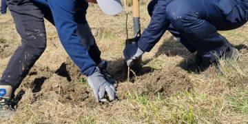 Fiecare copac plantat este un pas către un viitor mai curat și sănătos. Acțiune de plantare lângă rezervația naturală Bavna