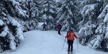 Încă un ucrainean, plecat de acasă în urmă cu 5 zile, a dispărut în Munţii Maramureşului. A fost găsit în viaţă