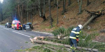 sursa: stirileprotv.ro