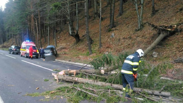 sursa: stirileprotv.ro