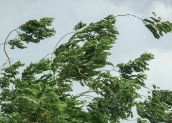 COD GALBEN de vânt în Maramureş, până vineri dimineață. Rafalele vor depăși 90-100 km/h