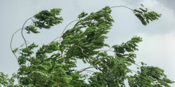 COD GALBEN de vânt în Maramureş, până vineri dimineață. Rafalele vor depăși 90-100 km/h