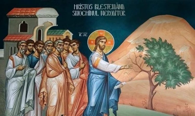 Sinaxar în Sfânta şi Marea zi Luni. Pomenirea fericitului Iosif cel preafrumos şi de smochinul neroditor care s-a uscat prin blestemul Domnului