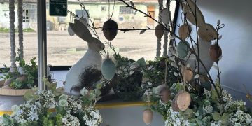 Autobuzul Iepurașului va circula în Sighetu Marmaţiei până în 7 mai