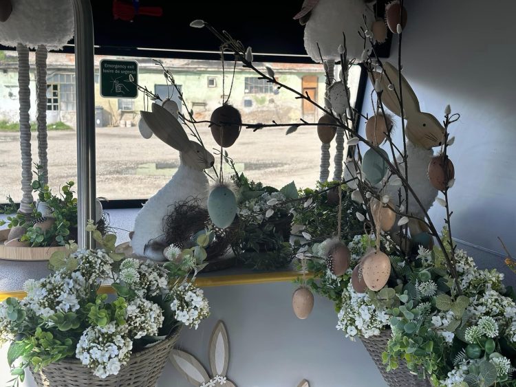 Autobuzul Iepurașului va circula în Sighetu Marmaţiei până în 7 mai