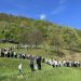 Calea Crucii la Mănăstirea „Sfânta Maria” din Baia Mare, în Duminica închinată Sfintei Cruci