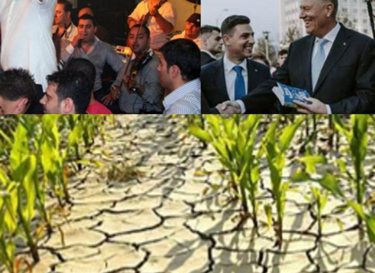 1.3 milioane de lei din fondul pentru dezastre naturale, direcționați de Ionel Bogdan pentru un party privat