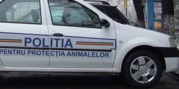 Acțiune derulată de polițiștii Biroului pentru Protecția Animalelor
