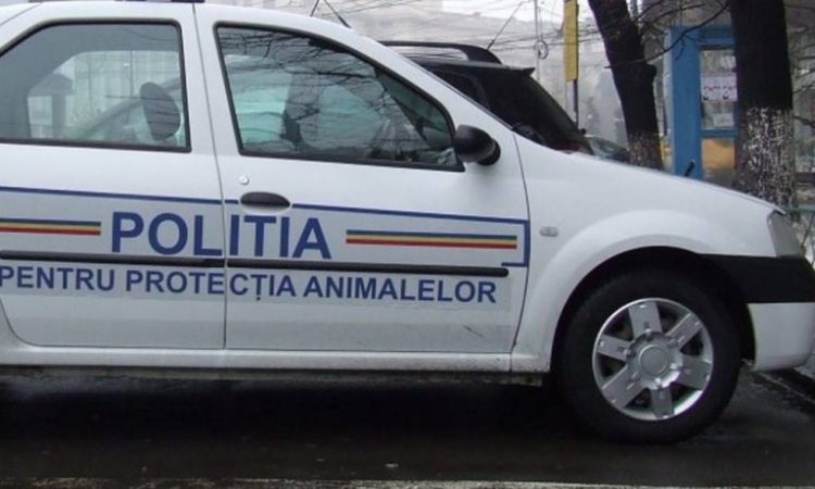 Acțiune derulată de polițiștii Biroului pentru Protecția Animalelor