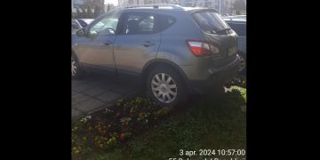 Panseluța, bat-o vina!