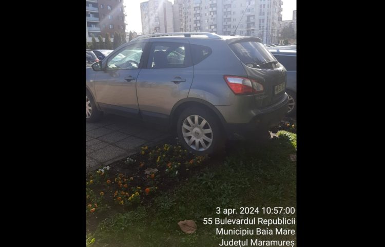 Panseluța, bat-o vina! 