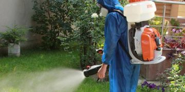 Începe dezinsecția în Baia Mare