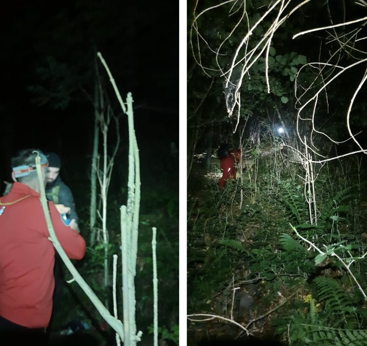 ACTUALIZARE: Salvamont Maramureș intervine pentru recuperarea a trei cetățeni ucraineni