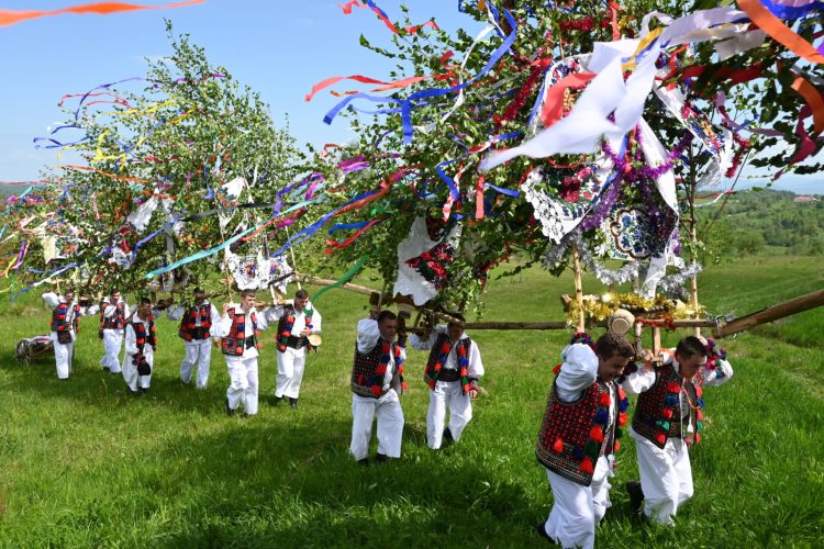 Tânjaua Hotenarilor, ediţia a 54-a, are loc duminică, 12 mai