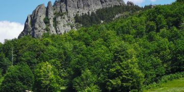 Drumeţie pe Creasta Cocoşului, de Ziua Mondială a Mediului