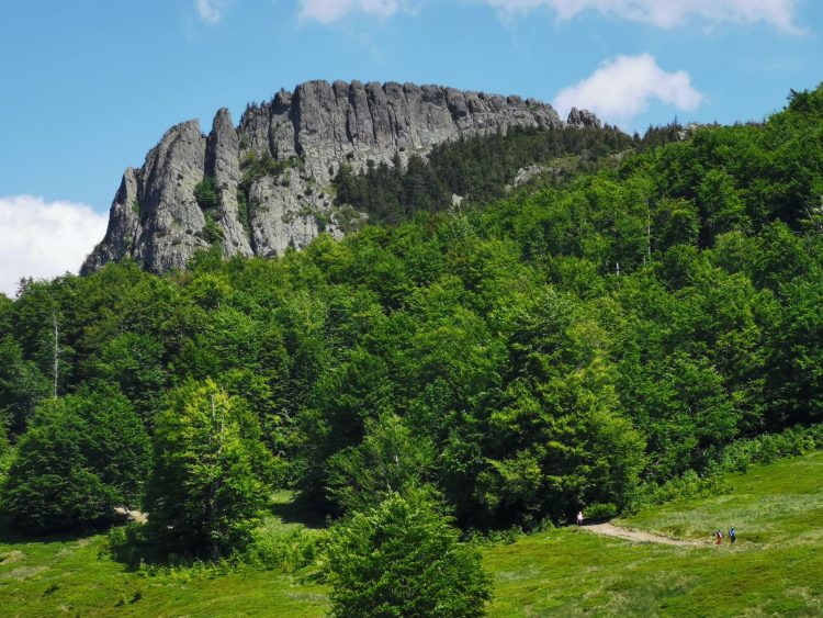 Drumeţie pe Creasta Cocoşului, de Ziua Mondială a Mediului