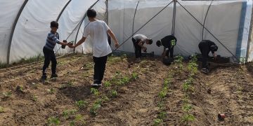 Vineri are loc Ziua Porţilor Deschise la Liceul Tehnologic Agricol „Alexiu Berinde” Seini