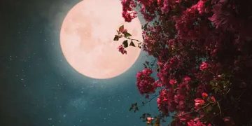 Luna Florilor, un fenomen astronomic spectaculos va avea loc în această săptămână