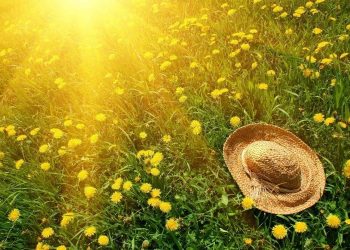 Meteorologii ne anunţă cum va fi vremea în perioada 13 mai – 10 iunie