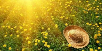 Meteorologii ne anunţă cum va fi vremea în perioada 13 mai – 10 iunie