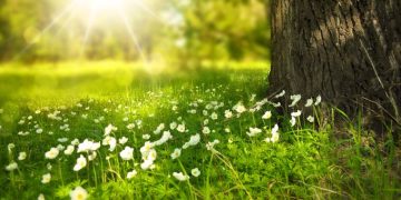 Prognoza meteo pentru perioada 6 mai – 3 iunie 