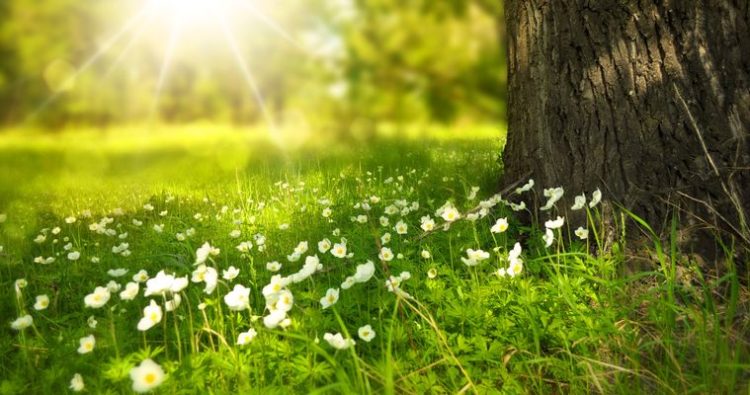 Prognoza meteo pentru perioada 6 mai – 3 iunie 