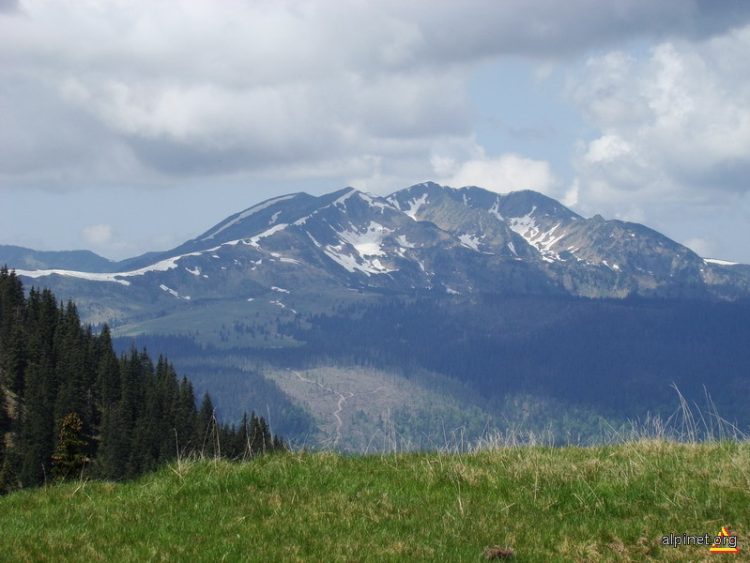 Descoperire macabră. Două cadavre au găsit poliţiştii de frontieră în zona Vf. Pop Ivan