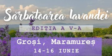 Trei zile de festin la Sărbătoarea Lavandei de la Groşi, ediţia a V-a