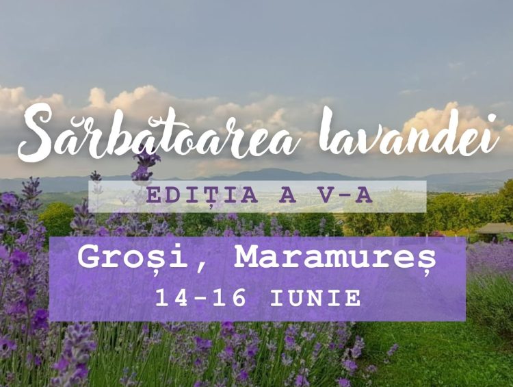 Trei zile de festin la Sărbătoarea Lavandei de la Groşi, ediţia a V-a