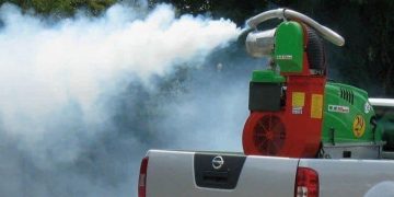 Azi începe campania de dezinsecţie în Baia Mare