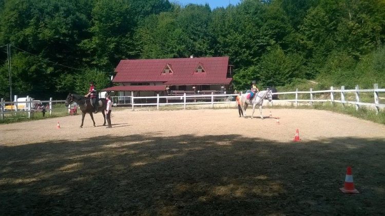 Școala de călărie Băița organizează tabere de echitaţie