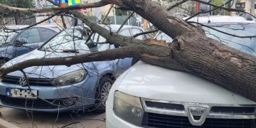 Primul cod roşu de vreme severă din acest an. Acoperişuri smulse, case inundate, copaci doborâţi, sute de case au rămas fără curent 