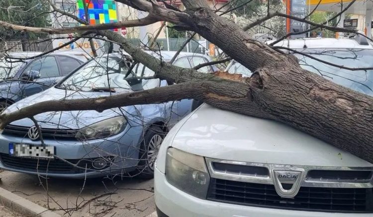 Primul cod roşu de vreme severă din acest an. Acoperişuri smulse, case inundate, copaci doborâţi, sute de case au rămas fără curent