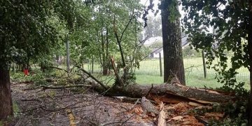 Bilanţul furtunii din seara de luni. Copaci, smulşi, acoperişuri luate de vânt în Sighetu Marmației, Budești, Cavnic, Rona de Sus și Petrova – foto