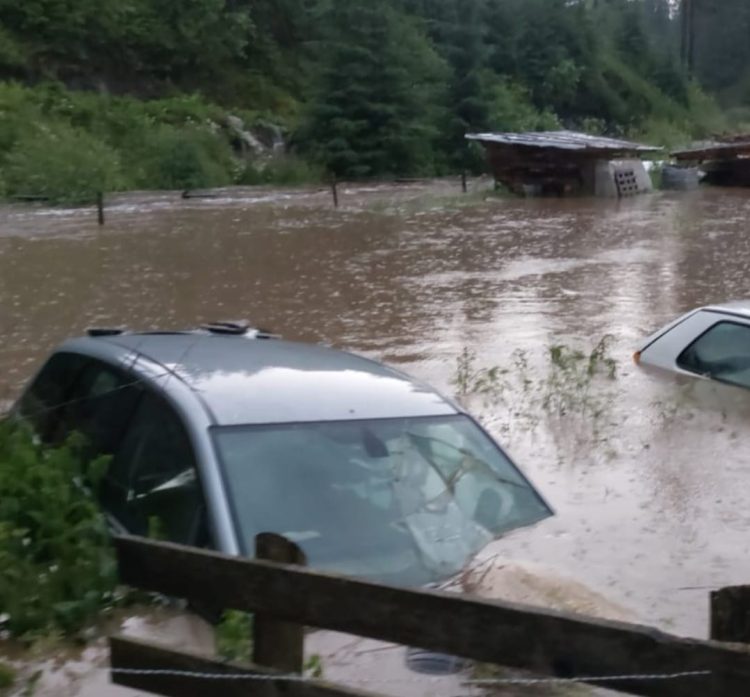Prăpăd la Cârlibaba. Bilanțul pagubelor