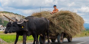 Țara Lăpușului inclusă pe lista DESTINAȚIILOR ANULUI 2024 în secțiunea: REGIUNI ECO-TURISTICE