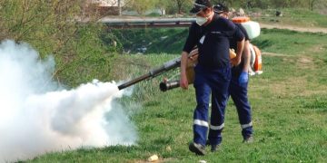 Începe dezinsecția în Baia Mare