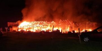 Incendiu devastator la o fermă de porci. Peste 600 de animale au murit