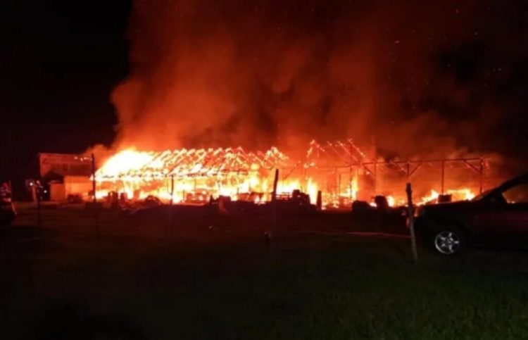 Incendiu devastator la o fermă de porci. Peste 600 de animale au murit