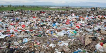 Plăcerea și prostia se plătesc scump, din banii maramureșenilor. DESPRE GUNOAIE