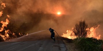 Alertă în Grecia! Zeci de incendii de vegetație izbucnite în doar 24 de ore