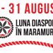 Pagină web pentru evenimentele lunii august, dedicată diasporei din Maramureș