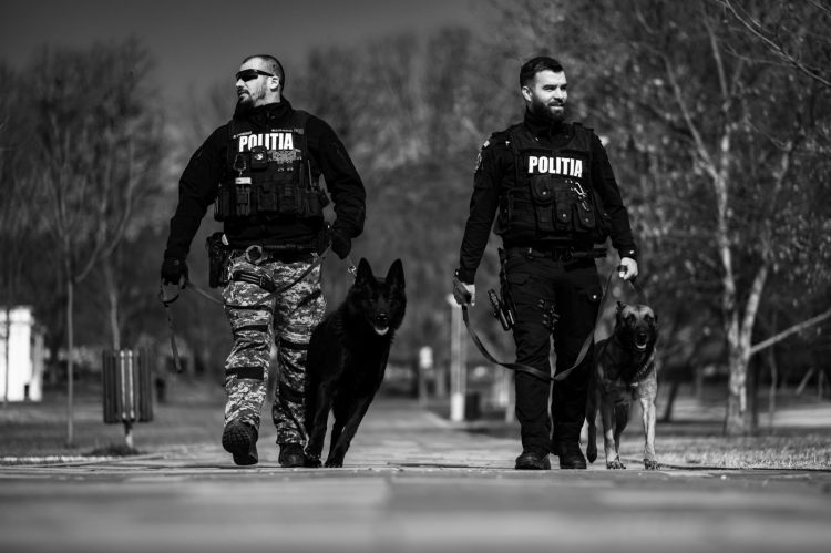 Câinii polițiști sărbătoriți la IPJ Maramureș