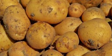 Legume scumpe din toamnă din cauza secetei. Cât vom scoate din buzunare pentru un kilogram de cartofi