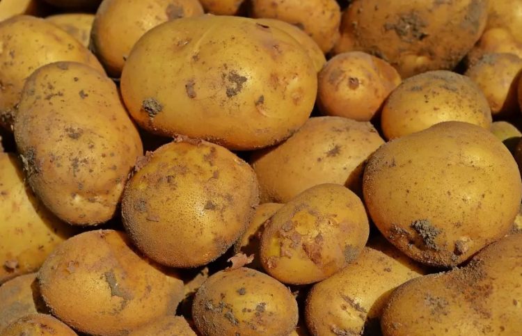 Legume scumpe din toamnă din cauza secetei. Cât vom scoate din buzunare pentru un kilogram de cartofi