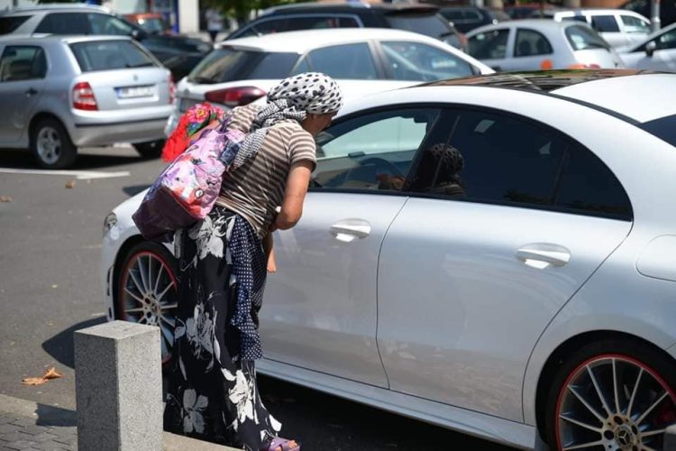 Baia Mare. Amenzi pentru încurajarea cerșetoriei sau abandonarea animalelor de companie