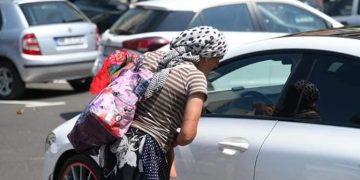 Baia Mare. Amenzi pentru încurajarea cerșetoriei sau abandonarea animalelor de companie