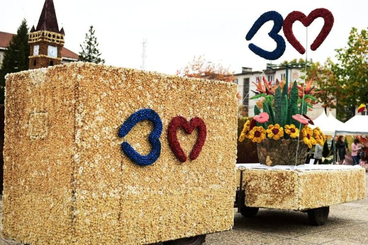 Vizitatorii ar putea avea accesul gratuit la noua ediție a Expo-Flora