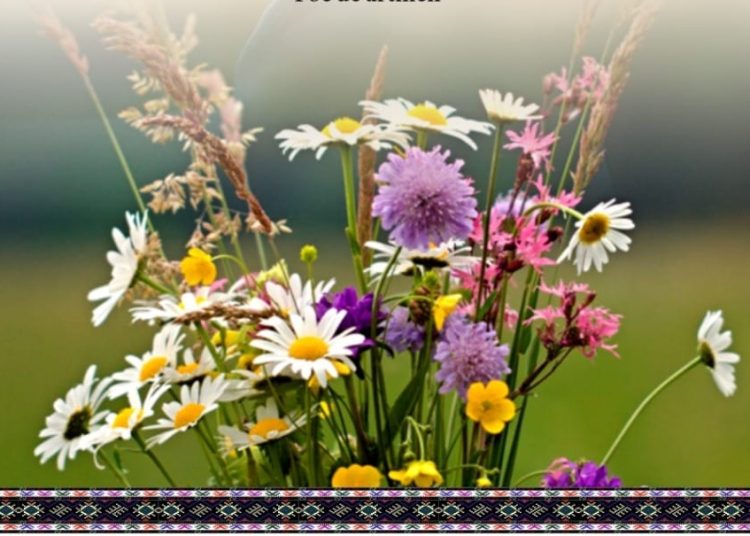 O nouă ediţie a Festivalului „Câte flori pe Iza-n sus” are loc duminică în Dragomireşti