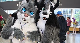 Ce spune ISJ Maramureș despre elevii care se identifică drept animale